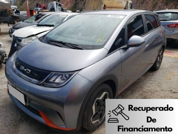 DOLPHIN EV GS 70 KW